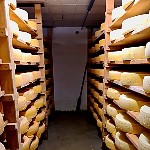 image d'une cave à fromage avec des meules de Gruyère